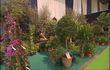 Jardin'Expo à la FIL